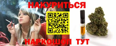 индика Братск