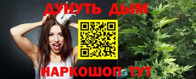 индика Братск